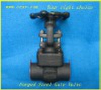 Forged Steel Gate Valve