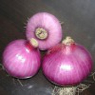 Red Onion