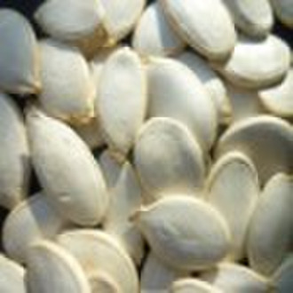 pumpkin seeds