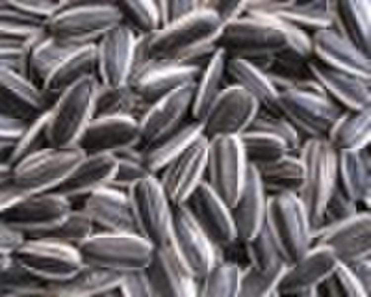 sunflower seeds