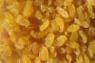 Golden Raisin 2010 Crop