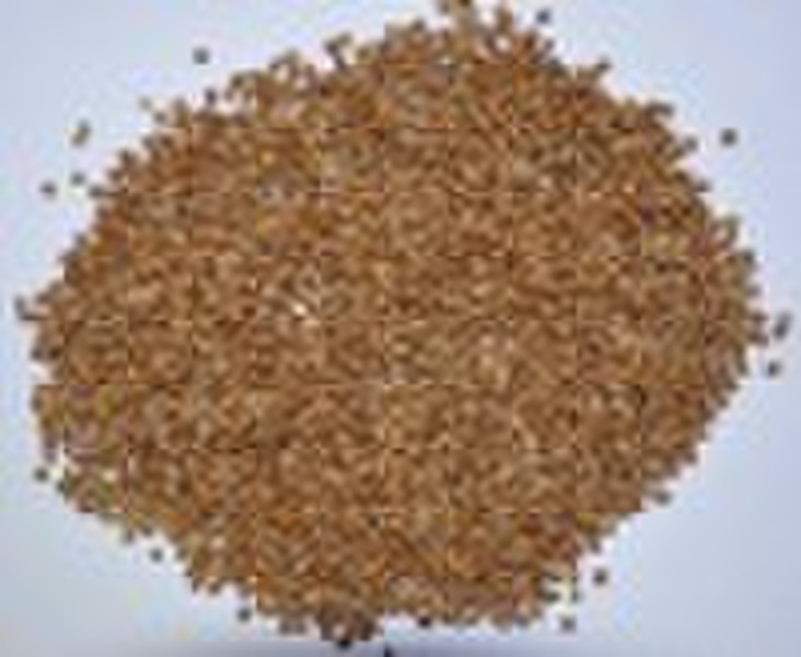 coriander seeds