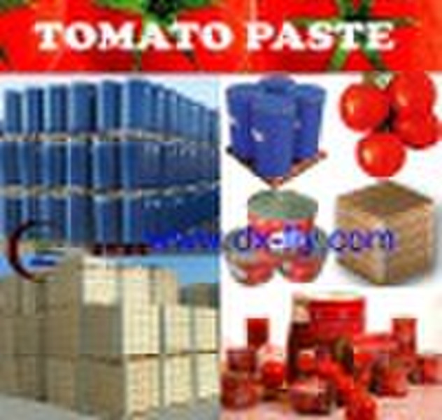 2010 CROP Tomato paste (packing in canned 70-4500g