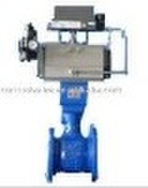 Pneumatic rotary valve