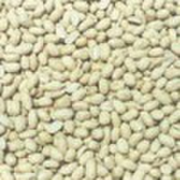 Chinese blanched peanuts kernel