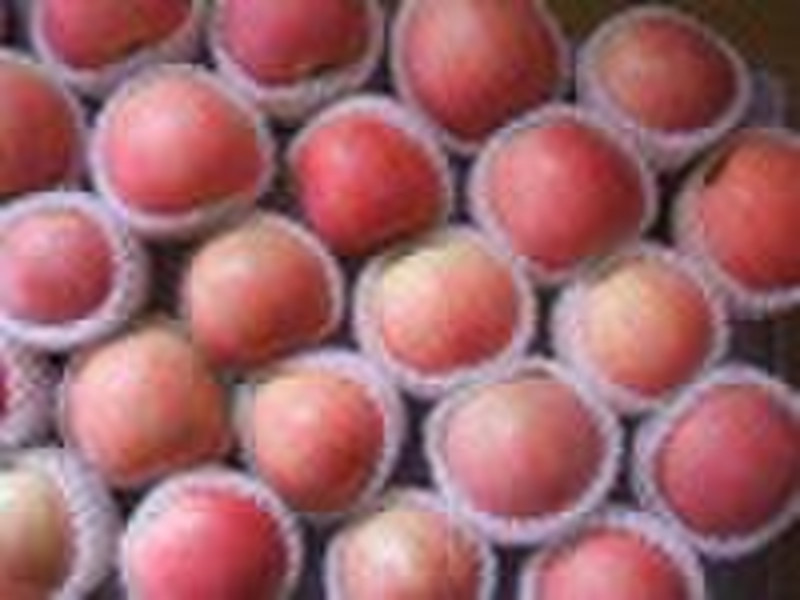 FUJI APPLE CROP 201