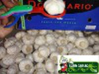 super garlic