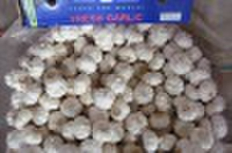 GARLIC CROP 2010