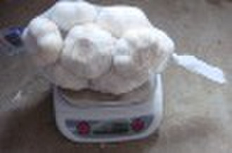 SNOW WHITE GARLIC 500G/BAG