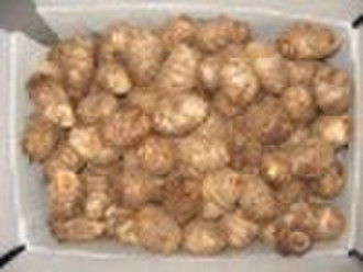 Taro