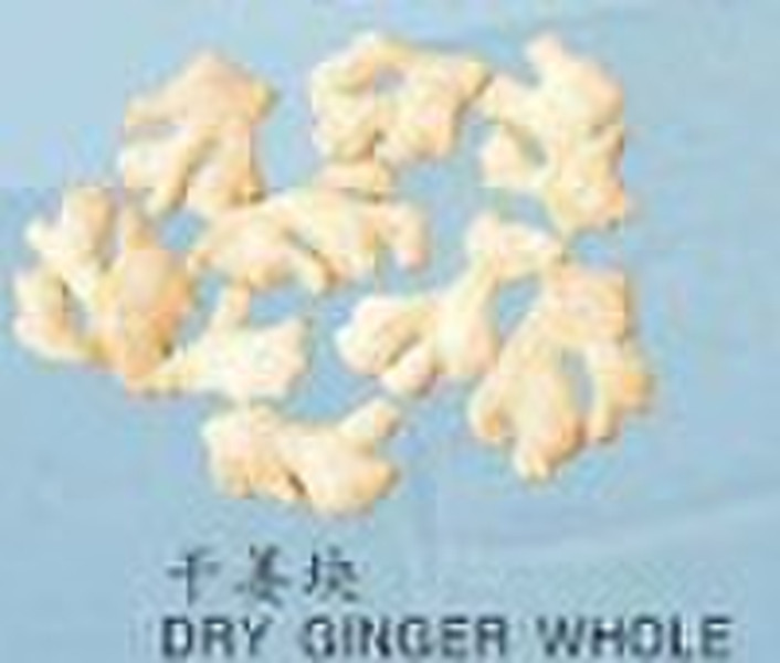 DRY GINGER