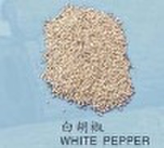 WHITE PEPPER