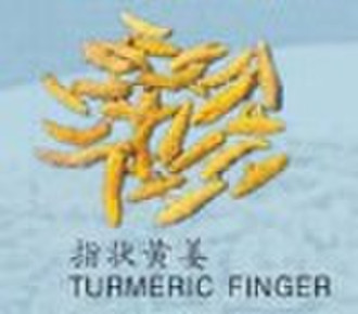 TURMERIC FINGER