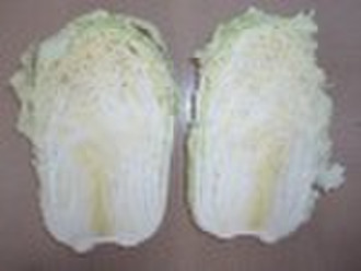 fresh chinese cabbage