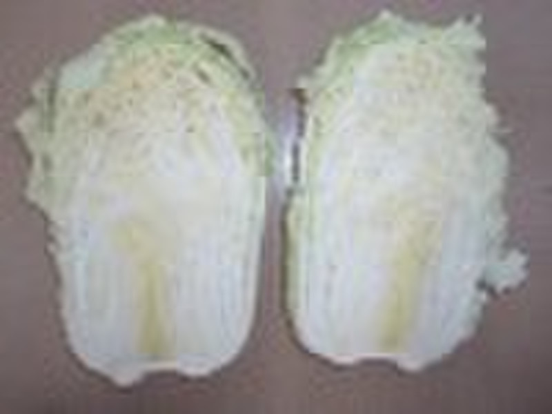 fresh chinese cabbage