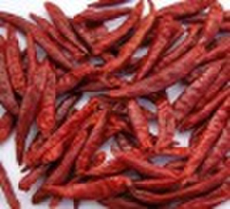 Small Dried Chilli(Capsicum frutescens var)