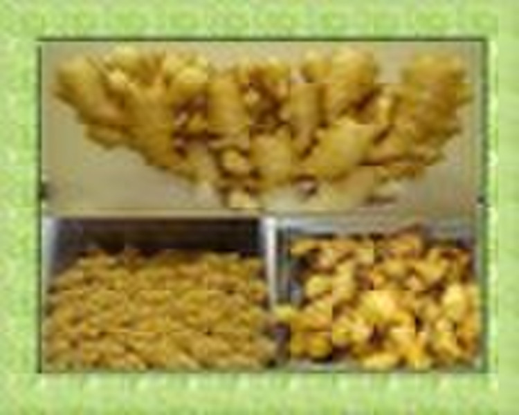 Chinese ginger with pvc carton