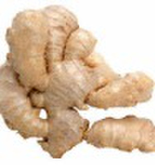 fresh ginger
