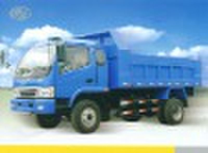 Tung Lei QD4010PDII Dump Cargo Truck