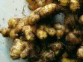 frozen fresh ginger root