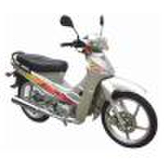 100cc CUB with EEC Approval