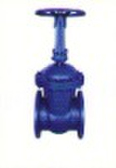 gate valve