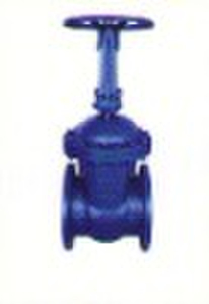 gate valve