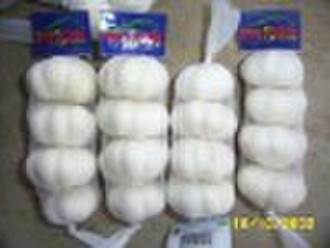 Chinese Fresh Pure White Pre-Packed Garlic