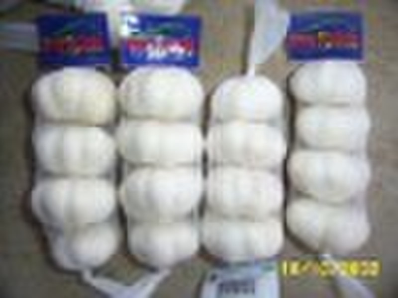 Chinese Fresh Pure White Pre-Packed Garlic