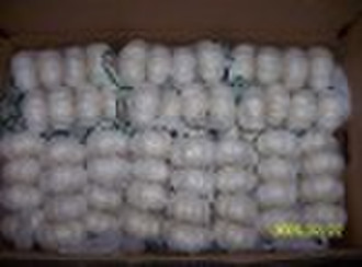 Chinese Fresh Garlic