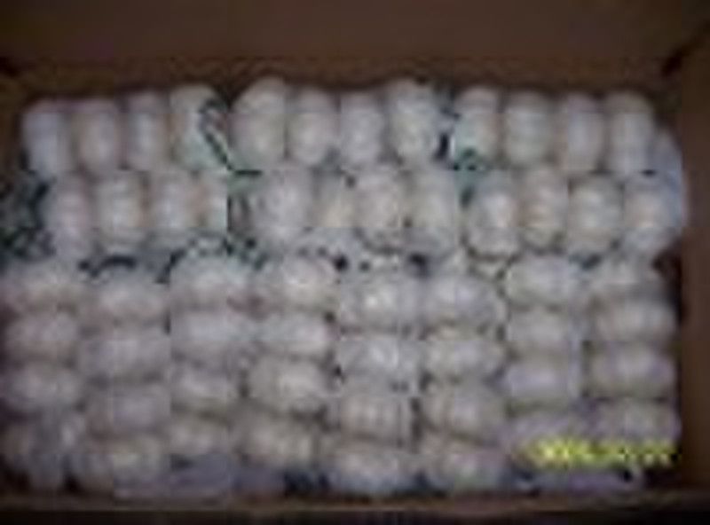 Chinese Fresh Garlic