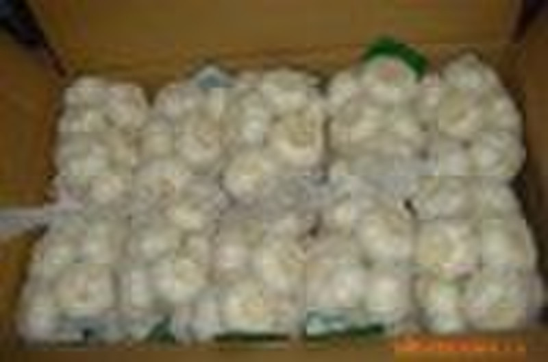 chinese fresh normal white garlic
