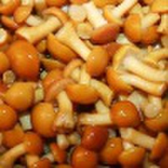 Nameko in Brine