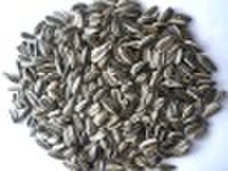 sunflower seeds American type 7067