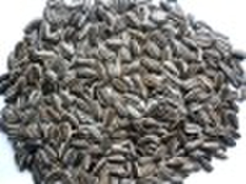 sunflower seeds American type 909