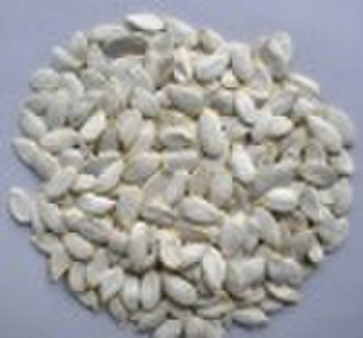 snow white pumpkin seeds