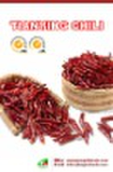 hot tianying chili