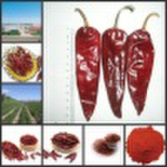 Supply Dried chillies