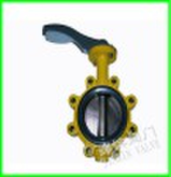 Worm actuated lugged butterfly valve