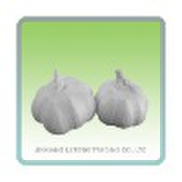 Fresh Organic Garlic