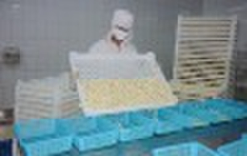 2010 New Crop of Peeled Garlic