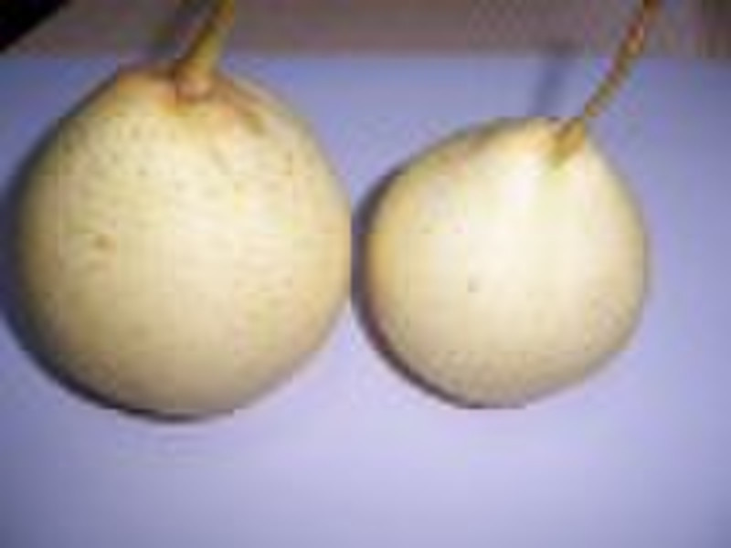 2010 new crop ya pear