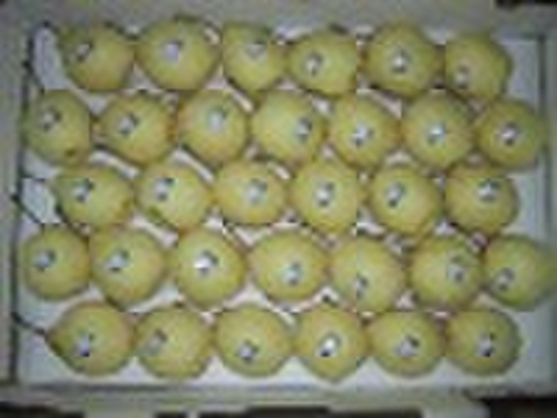 Golden Pear