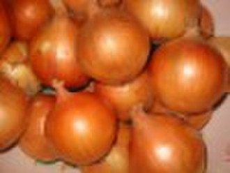 Chinese Yellow Onion(2010 new crop)