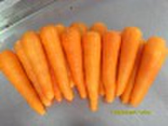 Carrot