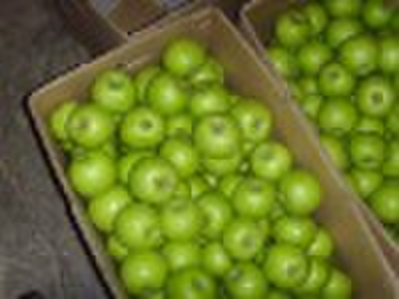 Supply Green Apple