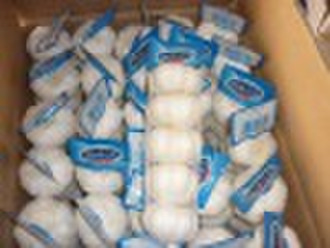 jinxiang garlic with good quality