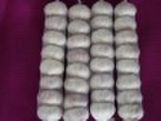 Normal White Garlic