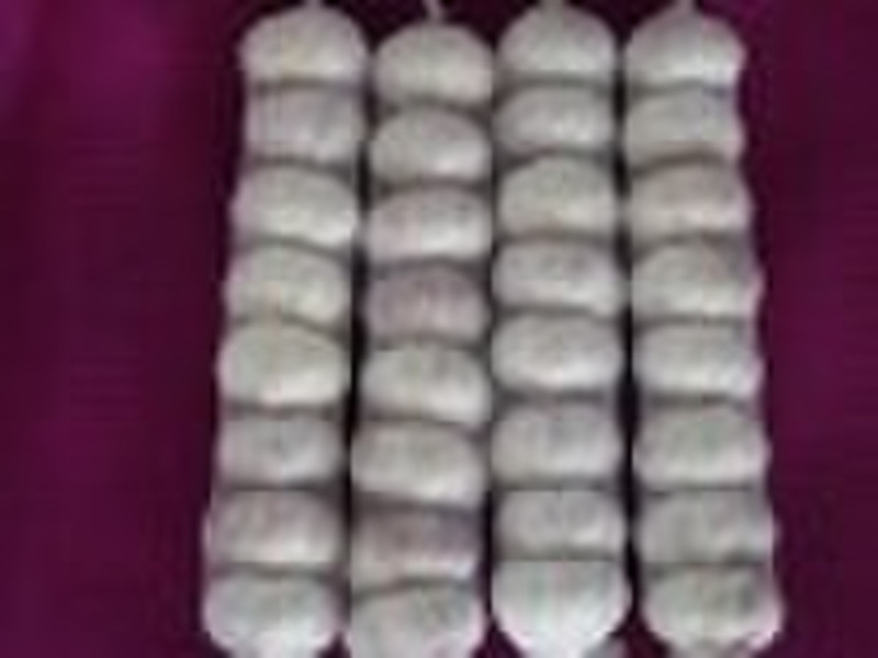 Normal White Garlic