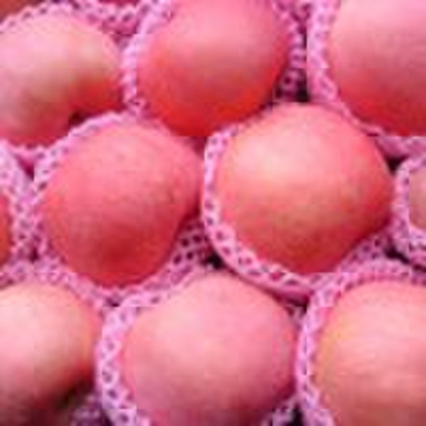 Fuji apple